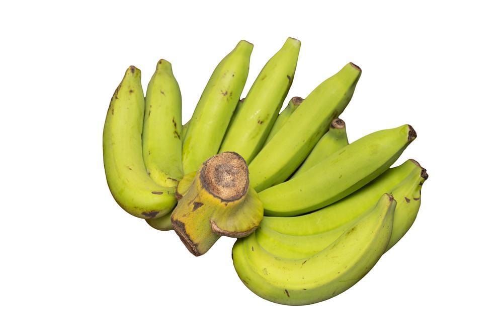 Bananas - Cavendish Green