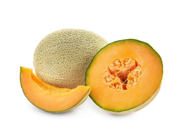 European Rockmelon Rockmelon – Promised Land Produce