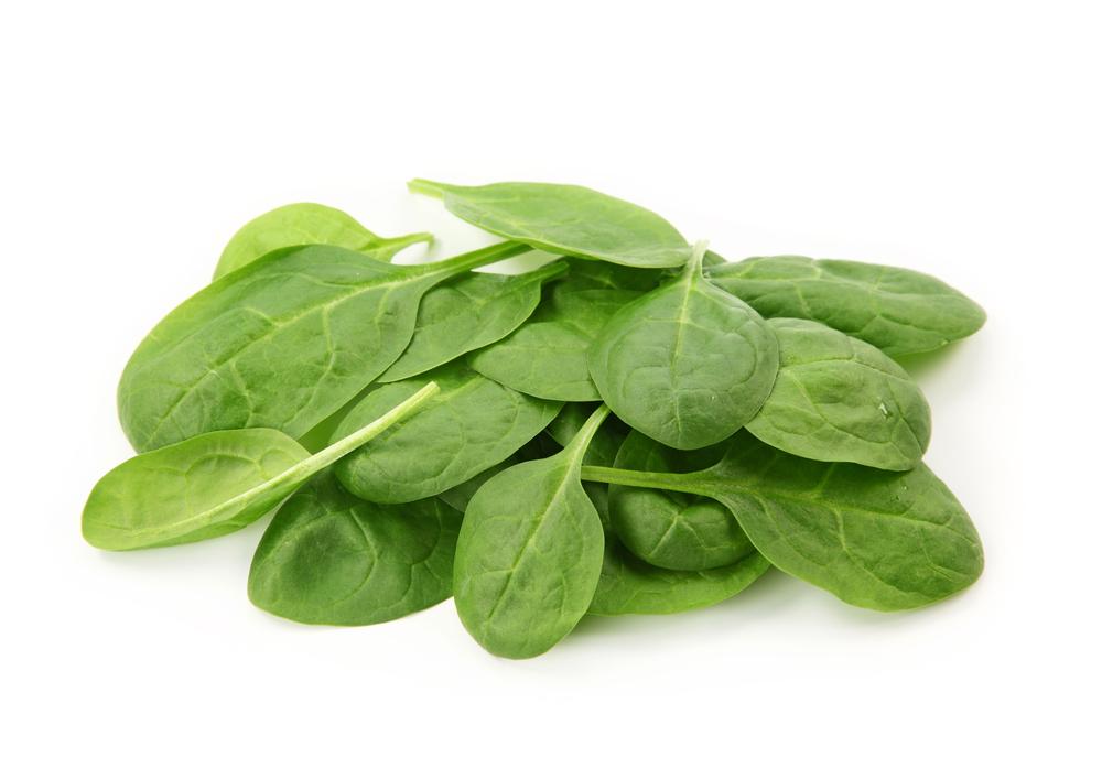 Spinach - Baby
