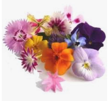 Edible Flowers
