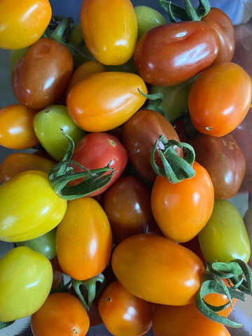 Local Mixed Colour Cherry Tomatoes